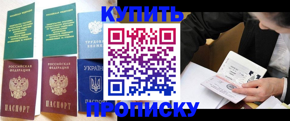 прописка для школы в Камне-на-Оби